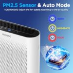 51qeebbqfgl. ac us800 .jpg