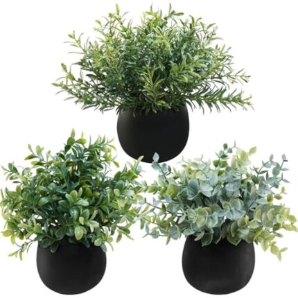 51rryiiipul. ac us800 .jpg