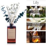 51sh3wemul. ac us800 .jpg