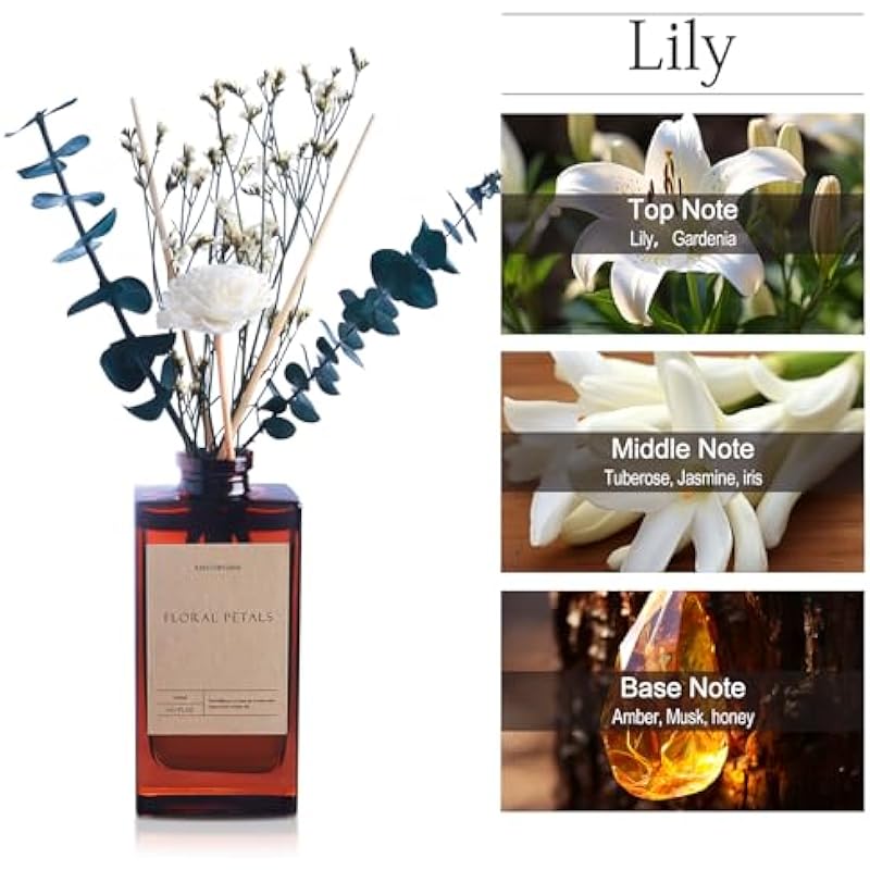 51sh3wemul. ac us800 .jpg