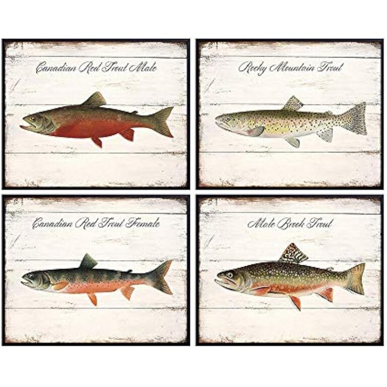 51tlyetg98l. ac us800 .jpg