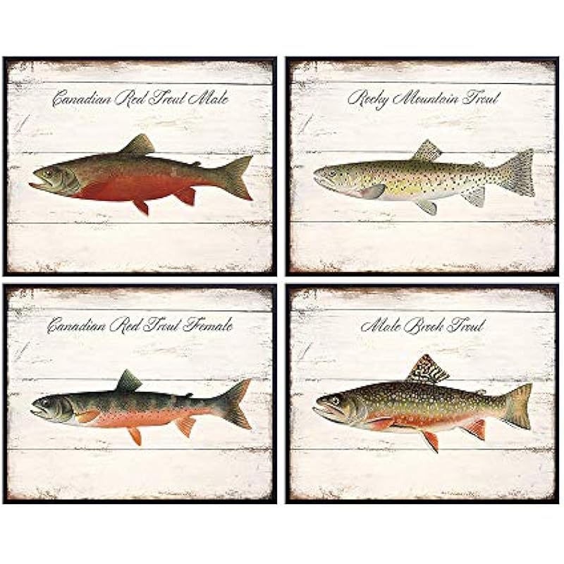 51tlyetg98l. ac us800 .jpg