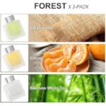 51utjwpwcpl. ac us800 .jpg