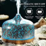 51wqnh 6kpl. ac us800 .jpg