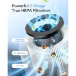 51x8utww50l. ac us800 .jpg