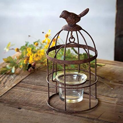 51xdqvupmll. ac us800 .jpg