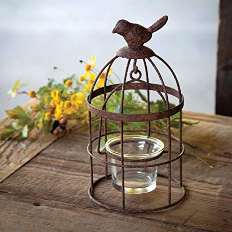 51xdqvupmll. ac us800 .jpg