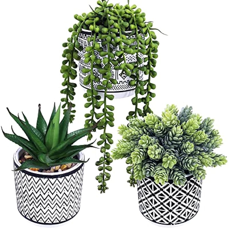 51ypxtdjk4l. ac us800 .jpg