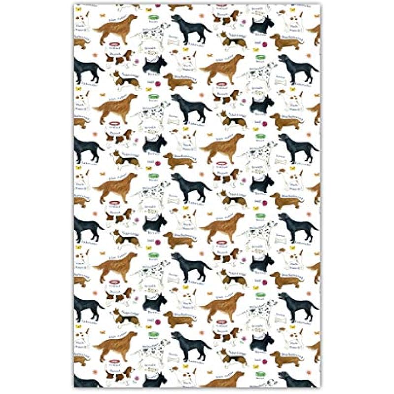 51zlwhxu6vl. ac us800 .jpg