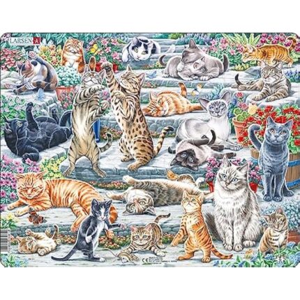 61ompoviwsl. ac us800 .jpg