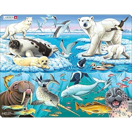 61r9cylssl. ac us800 .jpg