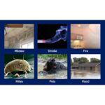 61smoq9xtul. ac us800 .jpg