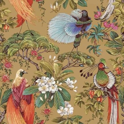 61bxa9mjbul. ac us800 .jpg