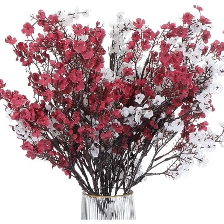 61hohw4clml. ac us800 .jpg