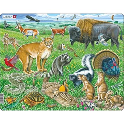 61jujm1rvcl. ac us800 .jpg