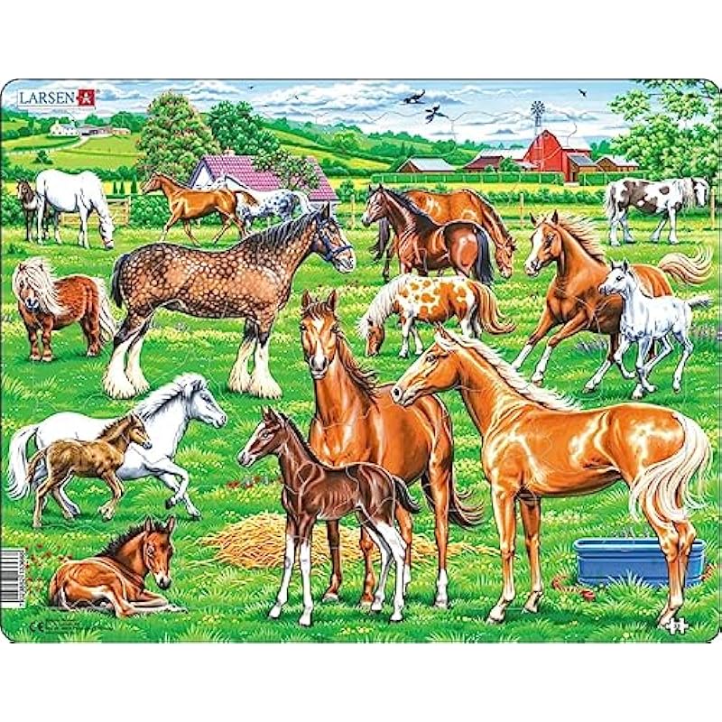 61jjh9glz8l. ac us800 .jpg