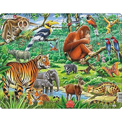 61mih9yo9nl. ac us800 .jpg